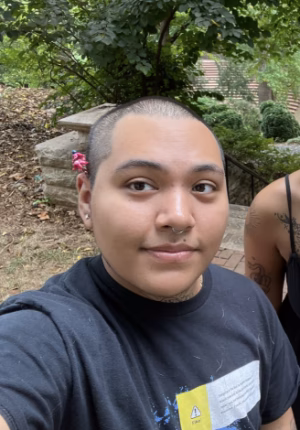 Alejandro Estrada - Gallery Image 2